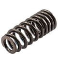 Valve Spring