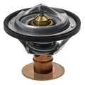 ~(0 lbs. 8X5X0)~ 05-05 Jaguar X-Type 2.5L