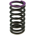 Valve Spring