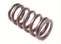 Valve Spring