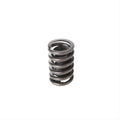 Valve Spring