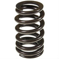 Valve Spring