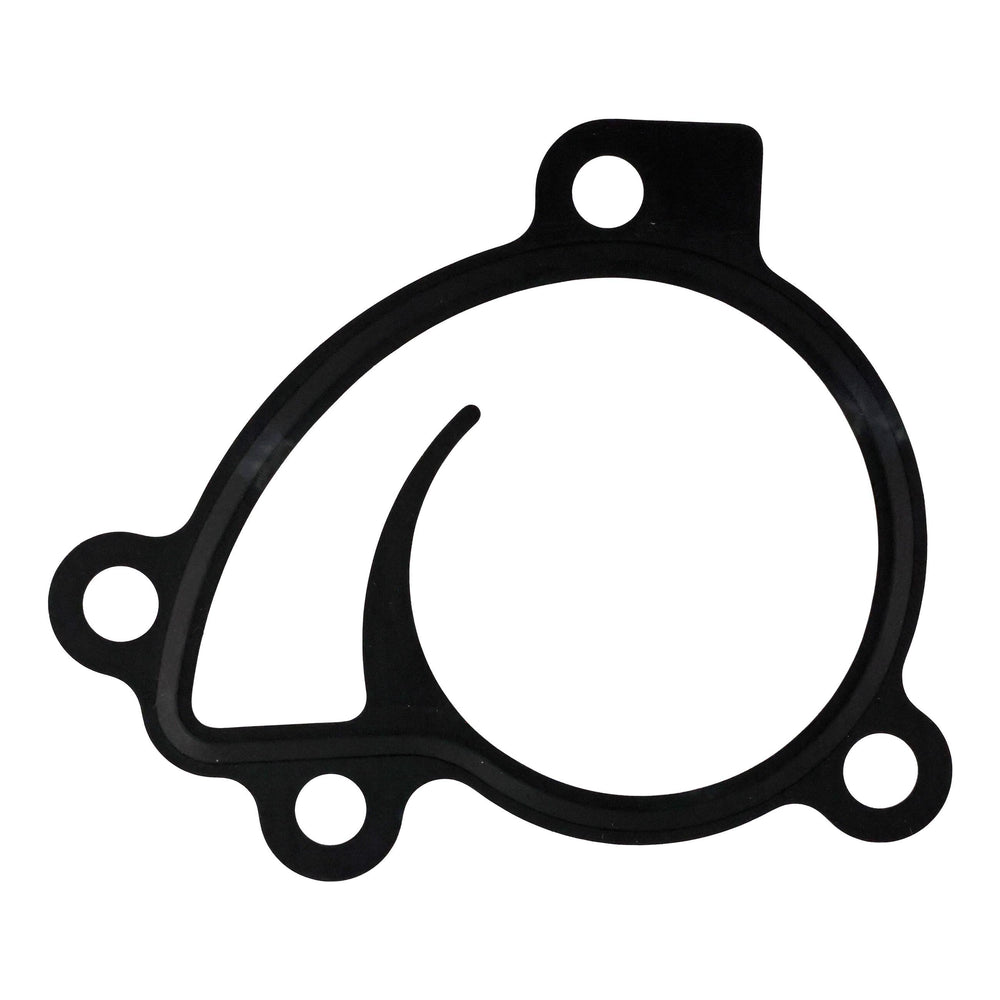 WATER PUMP GASKET