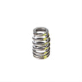 Valve Spring