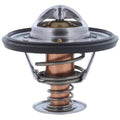 THERMOSTAT W/ SEAL