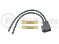 BLWR RESISTOR CN