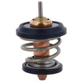 RADIATOR CAP