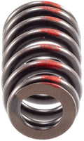 Valve Spring
