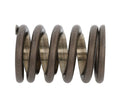 Valve Spring
