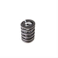 Valve Spring
