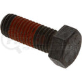 CAPSCREW