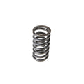 Valve Spring