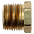 BRASS PIPE ADAPTER