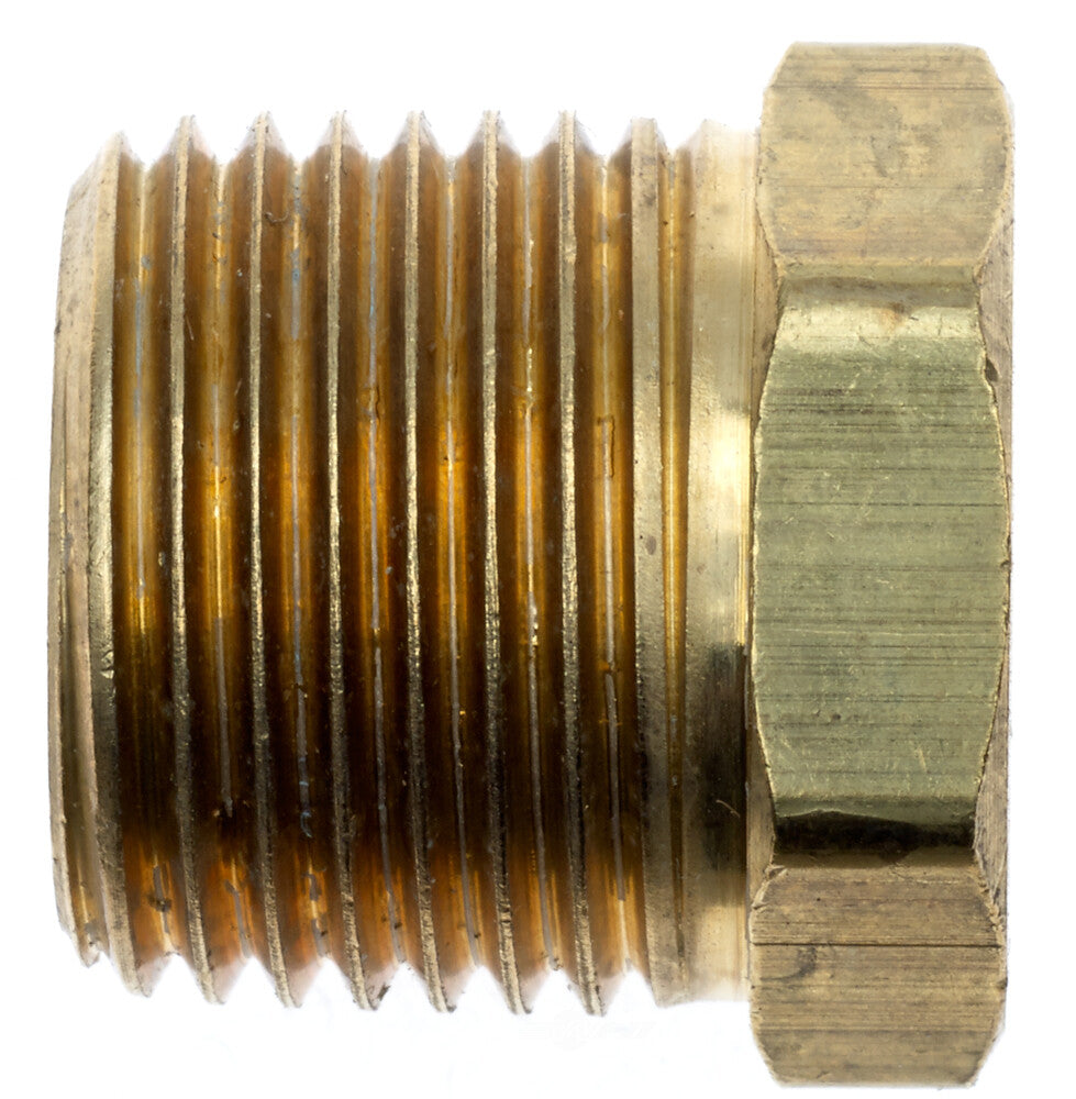 BRASS PIPE ADAPTER