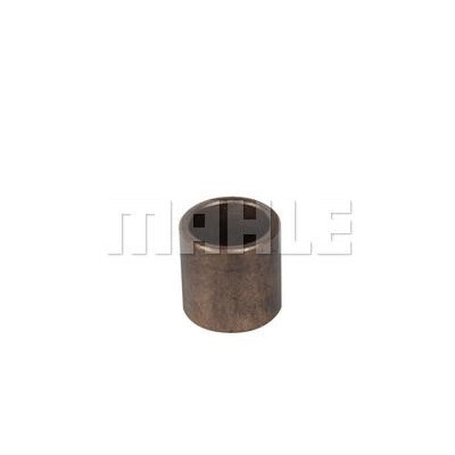 Starter Bushing