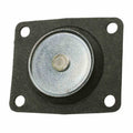 DIAPHRAGM