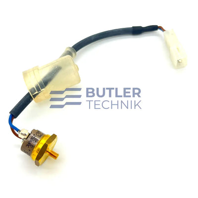 WEBASTO auto part