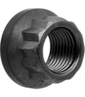 ARP 1/2in -20 12pt Nut Kit (Pack of 2)