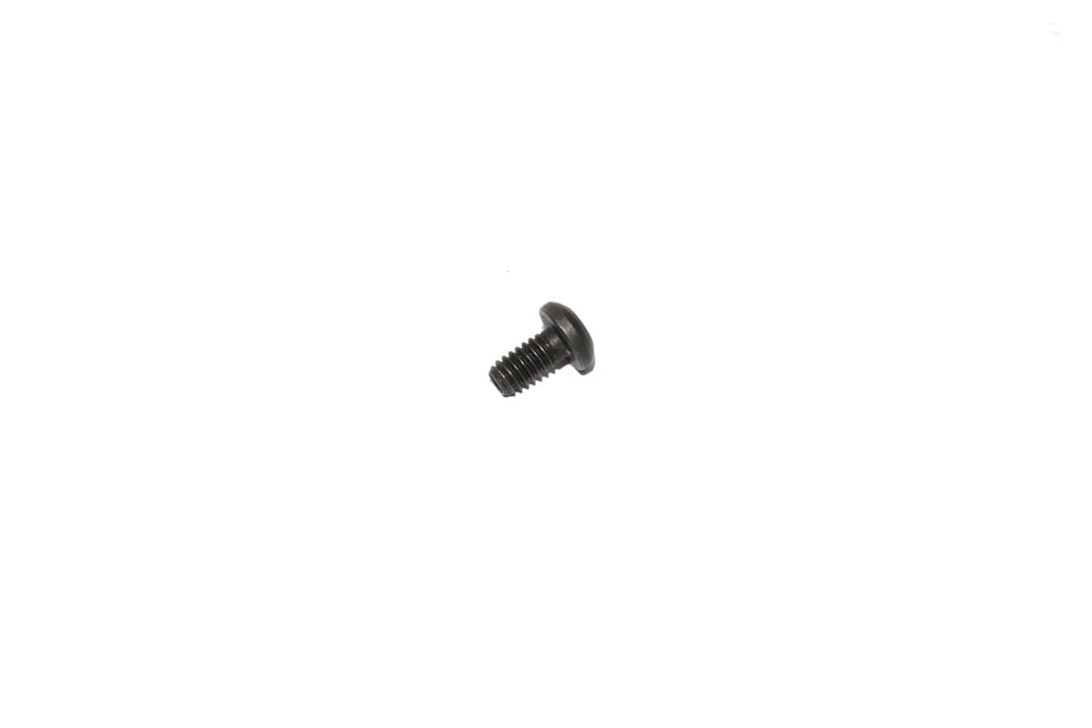 BOLTS, FOR CS CAM RETAINER 87-UP (2