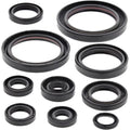 Vertex Oil Seal