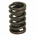 Valve Spring