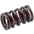 Valve Spring