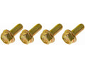 Flange: Cap Screw Flange; M6-1.0 X 10