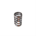 Valve Spring