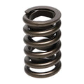 Manley SPRING-1.250 SINGLE EA