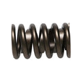 Manley SPRING-1.250 SINGLE EA