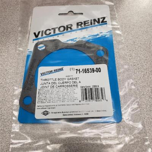 Engine Oil Filter Adapter Gasket - 71-17539-00