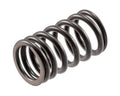 Valve Spring