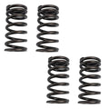 Valve Spring