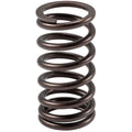 Valve Spring