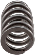 Engine Valve Spring