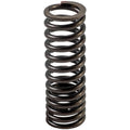 Valve Spring