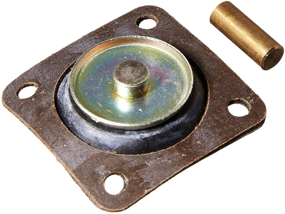 ACCEL. PUMP DIAPHRAGM
