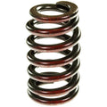 Valve Spring