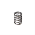 Valve Spring