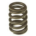 Valve Spring