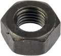 HEX NUT