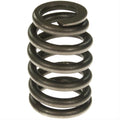 Valve Spring