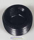 1/4in Allen Head Pipe Plug (2pk)