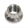 S/S 12pt. Nut - 1/2-13 (1)