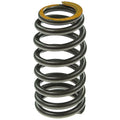 Valve Spring