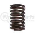 SPRING, VALVE OUTER