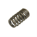 Valve Spring