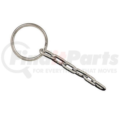 RING AND CHAIN W/5 LINKS SS