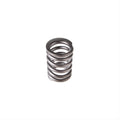 Valve Spring