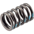 Valve Spring